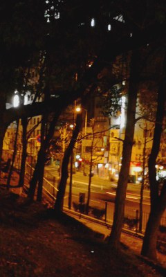 c0289636_22394552.jpg