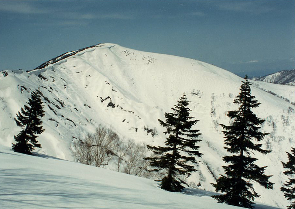 d0237340_2203458.jpg