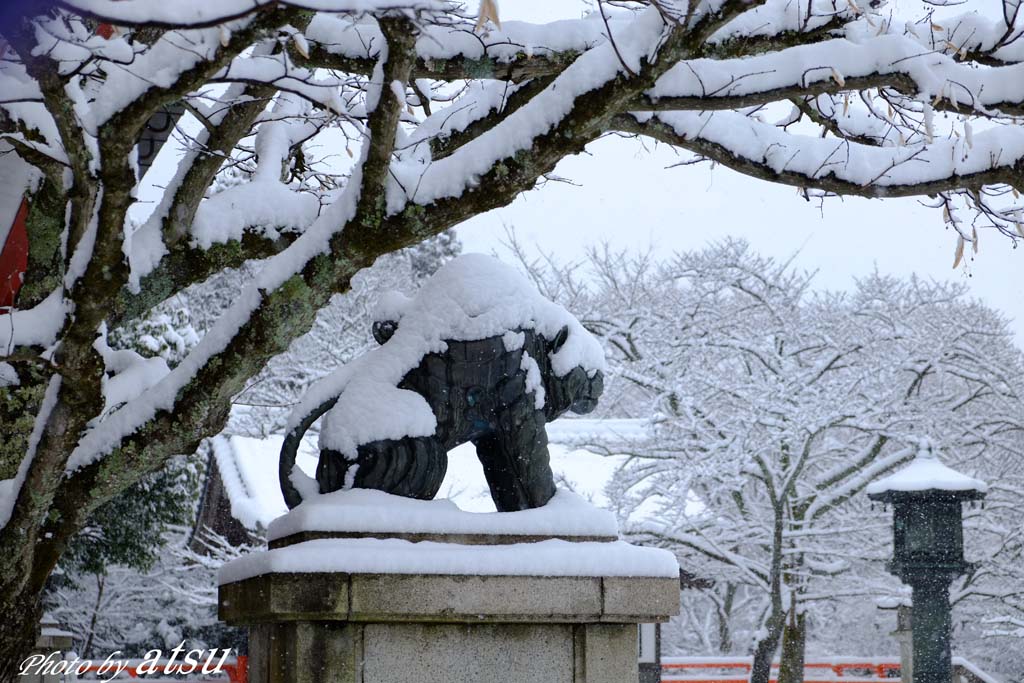 雪の鞍馬山-4_d0250840_2005240.jpg