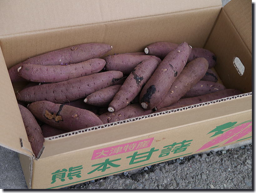 急遽...焼き芋?_f0178858_18354692.jpg
