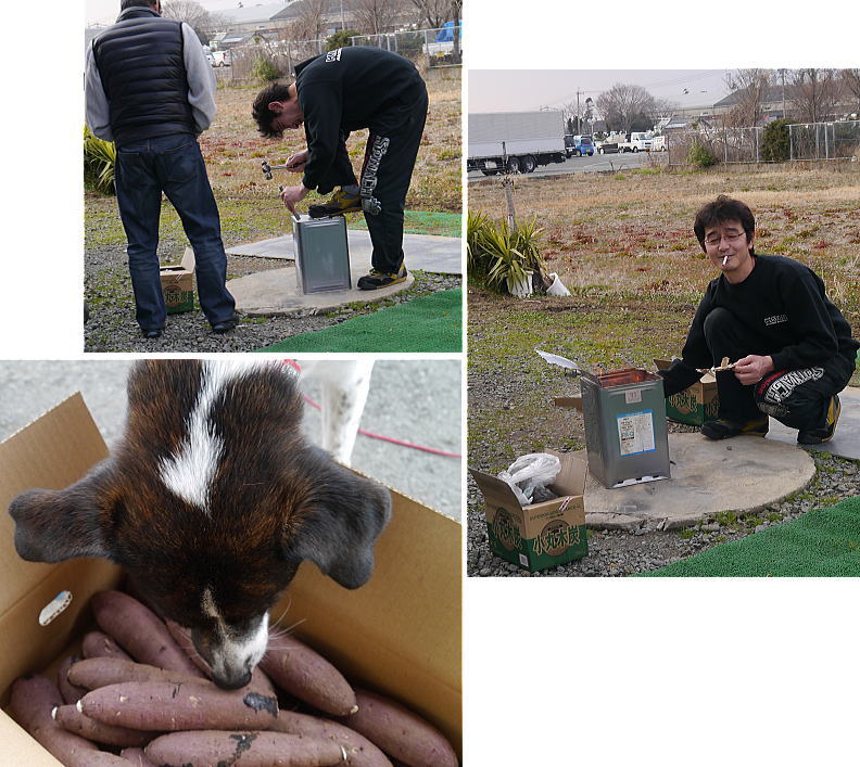 急遽...焼き芋?_f0178858_18355557.jpg