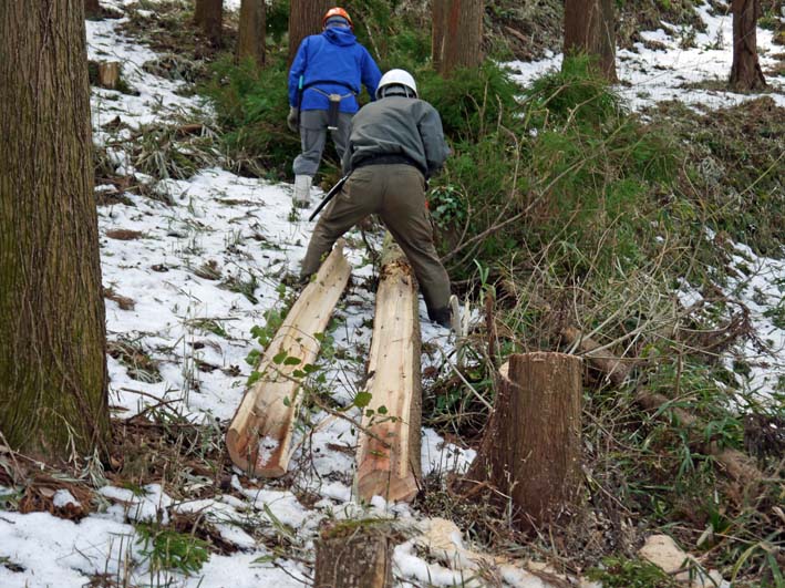 大雪で中折れしたスギを処理：2・20六国見山臨時手入れ_c0014967_8454825.jpg