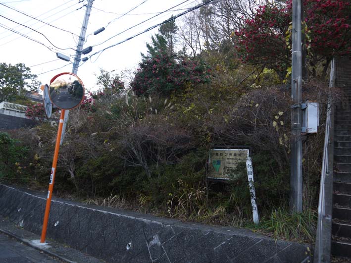 樹木が大きくなり高野２号緑地の電柱と電線が危ない感じ_c0014967_941968.jpg