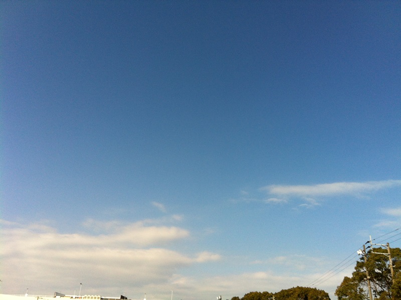 a0261573_9432973.jpg