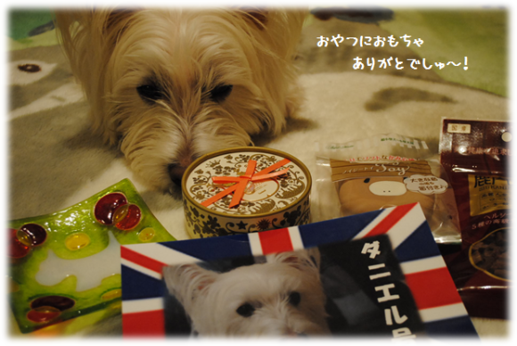 b0242873_02330273.png