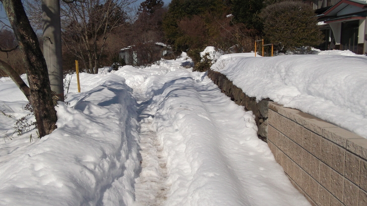 c0212083_2214492.jpg