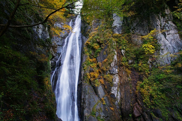 c0324983_22130134.jpg