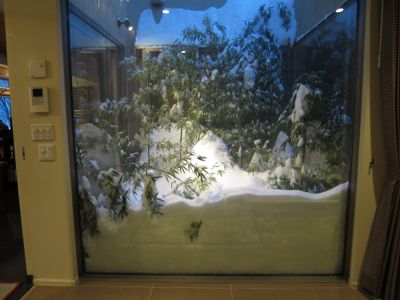 観測史上最高の積雪量となった雪の日_d0133485_15583679.jpg