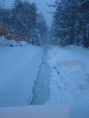 観測史上最高の積雪量となった雪の日_d0133485_1559444.jpg