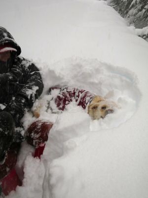 観測史上最高の積雪量となった雪の日 (part2)_d0133485_16201894.jpg