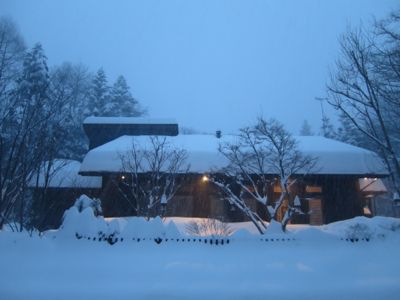 観測史上最高の積雪量となった雪の日_d0133485_1623125.jpg