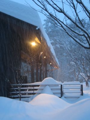 観測史上最高の積雪量となった雪の日_d0133485_1623333.jpg