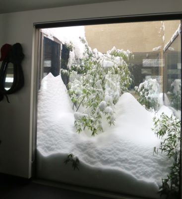 観測史上最高の積雪量となった雪の日 (part2)_d0133485_16265181.jpg