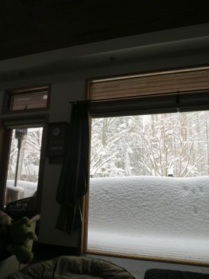 観測史上最高の積雪量となった雪の日 (part2)_d0133485_16271817.jpg