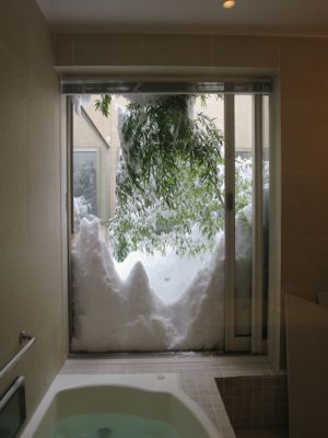 観測史上最高の積雪量となった雪の日 (part2)_d0133485_16282711.jpg