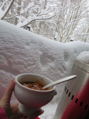 観測史上最高の積雪量となった雪の日 (part3)_d0133485_16394299.jpg