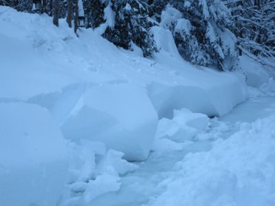 観測史上最高の積雪量となった雪の日 (part3)_d0133485_1741764.jpg