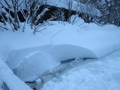 観測史上最高の積雪量となった雪の日 (part3)_d0133485_174282.jpg