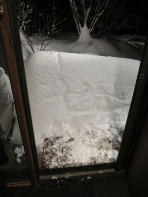 観測史上最高の積雪量となった雪の日 (part3)_d0133485_1752544.jpg