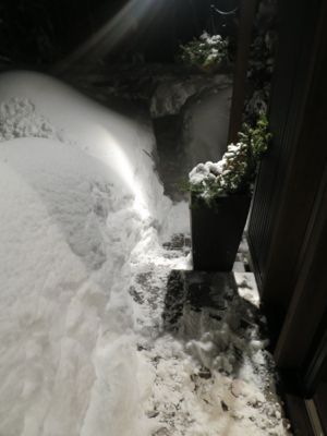 観測史上最高の積雪量となった雪の日 (part3)_d0133485_17533100.jpg