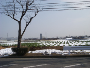 ☆雪ものがたり・・・_c0149195_20493100.jpg