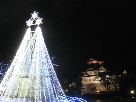 続・富山、冬のイルミネーション！（本日も過去画像で悪しからず…）_f0281398_15205675.jpg