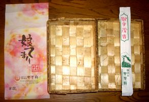 熊本美術散歩　1．九州新幹線の初体験_b0044404_2227571.jpg