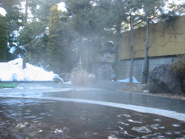 鹿教湯（かけゆ）藤館　　1/4　大江戸温泉物語_f0191007_14123596.jpg