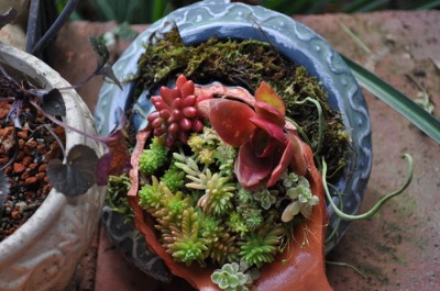 c0178009_17414344.jpg