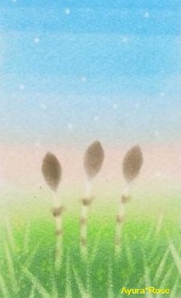 春の陽だまり_d0085018_16162796.jpg