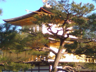 金閣寺_b0065819_16535980.jpg