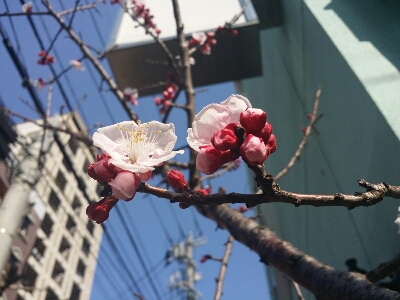b0300819_18223249.jpg