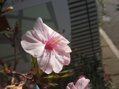 b0300819_1823285.jpg