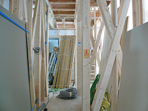 a0242238_11425386.jpg