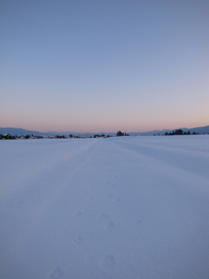 a0014840_2246656.jpg