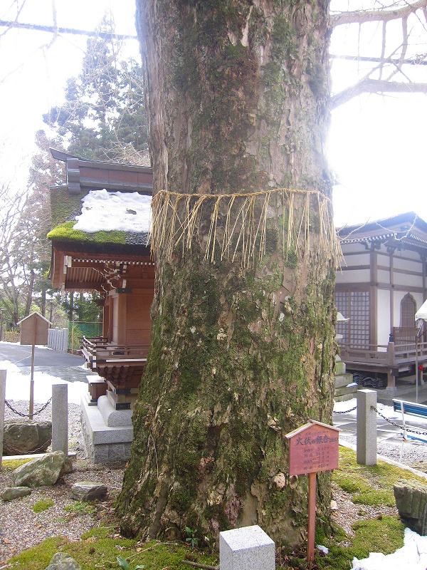 西国（13番）札所【岩間山正法寺】20140221_e0237645_1019986.jpg