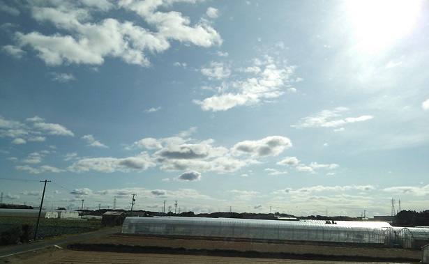 f0087347_2355235.jpg