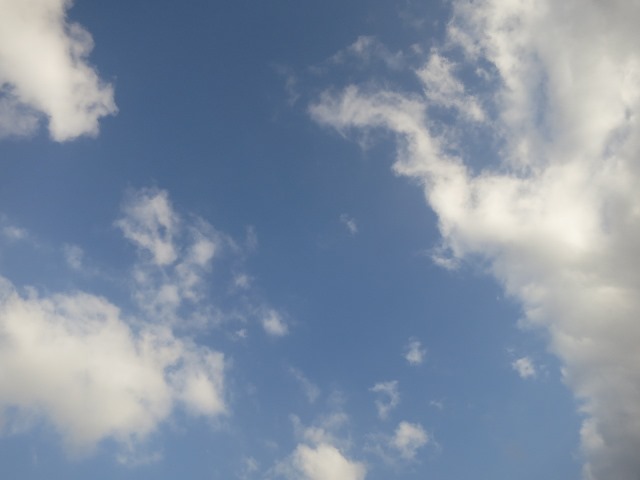 e0017051_757995.jpg