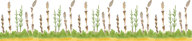 e0173358_21292439.gif
