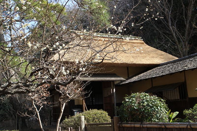 京の大正ひな人形展（横浜三溪園）_f0000459_15524232.jpg