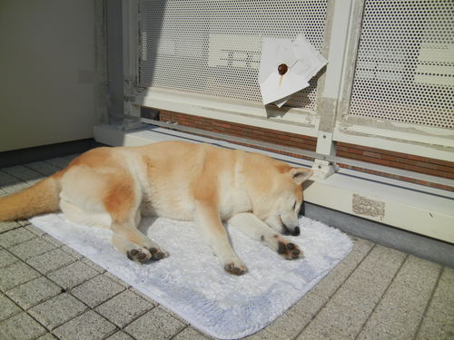 ’14,2,22(土)亀田病院と愛とこころ!_f0060461_1433885.jpg