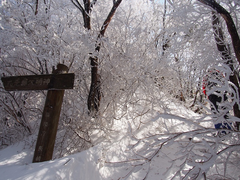 c0042869_19858.jpg