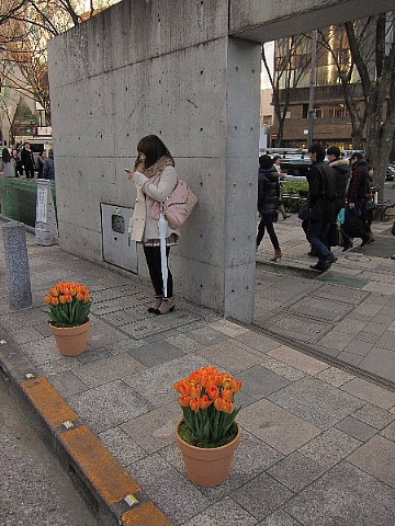 人間をやめますか、動物をやめますか。_b0141773_011076.jpg