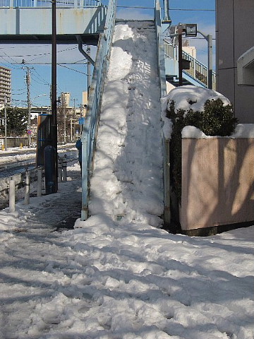 人間をやめますか、動物をやめますか。_b0141773_063683.jpg