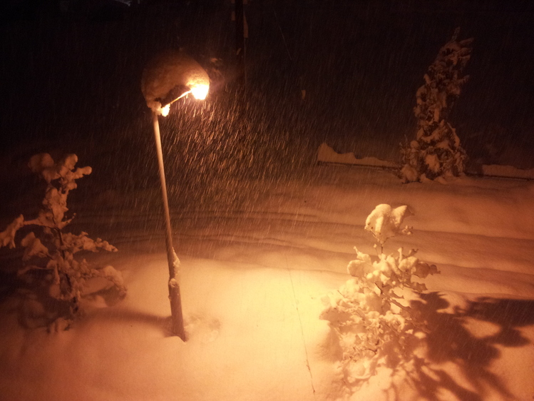 記録的な大雪_e0191174_22161150.jpg
