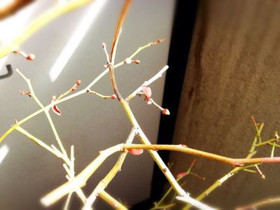 e0305175_220153.jpg