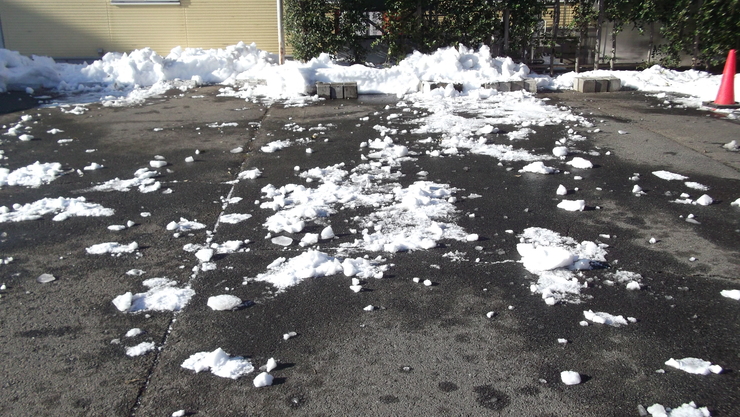 c0212083_2224414.jpg