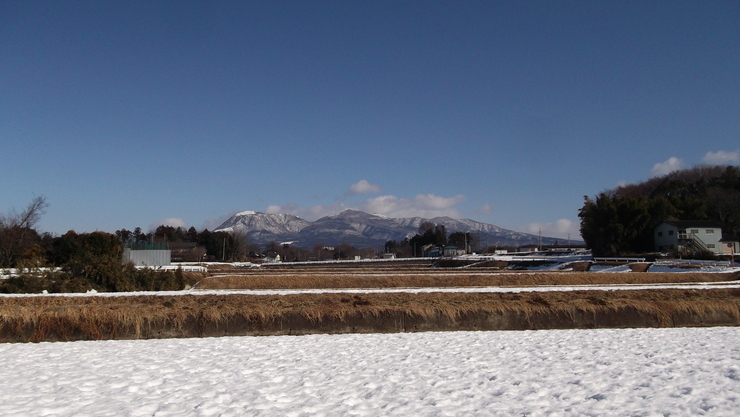 c0212083_22392827.jpg