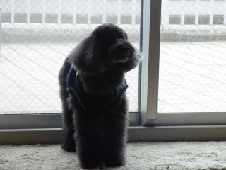 2014年2月22日 がーたん_b0098584_9102326.jpg