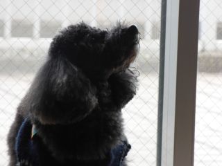 2014年2月22日 がーたん_b0098584_9124129.jpg